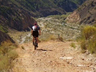 Alquiler de mountain bikes